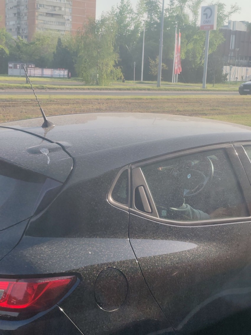 "Krvava kiša" zaprljala automobile širom prestonice