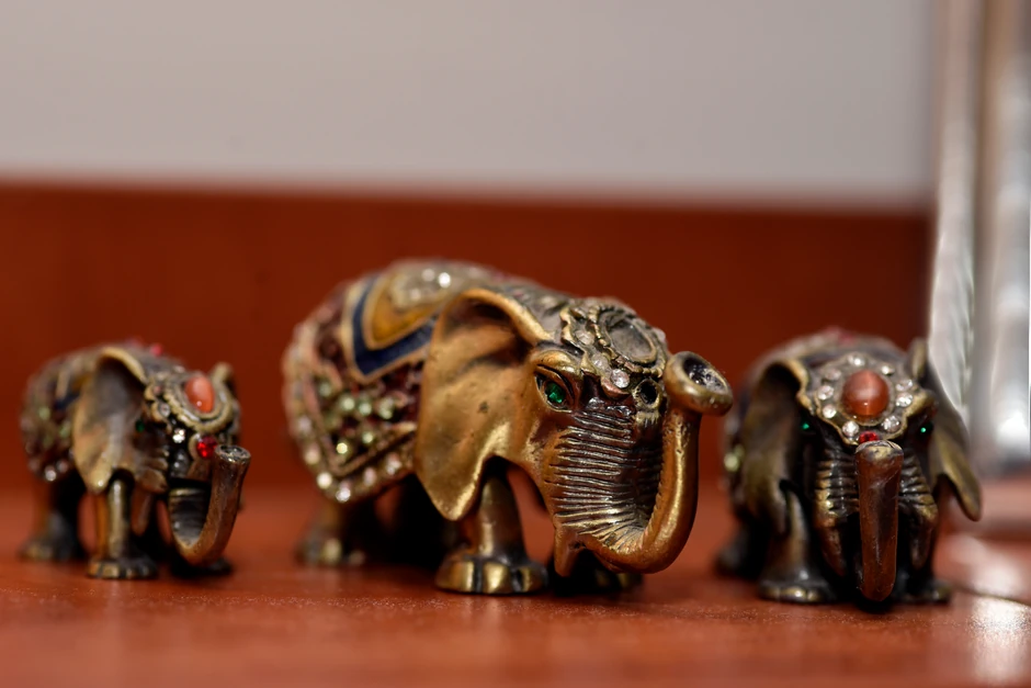 Anđela Đurašković