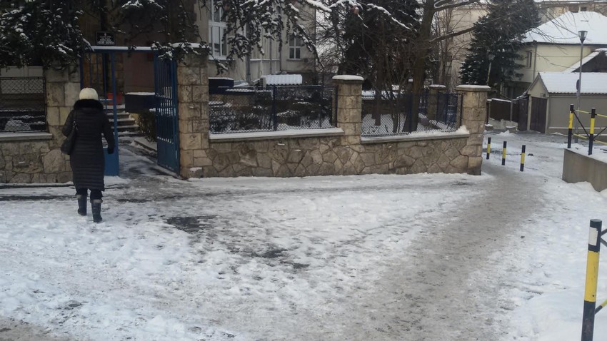 OŠ "Josif Pančić"