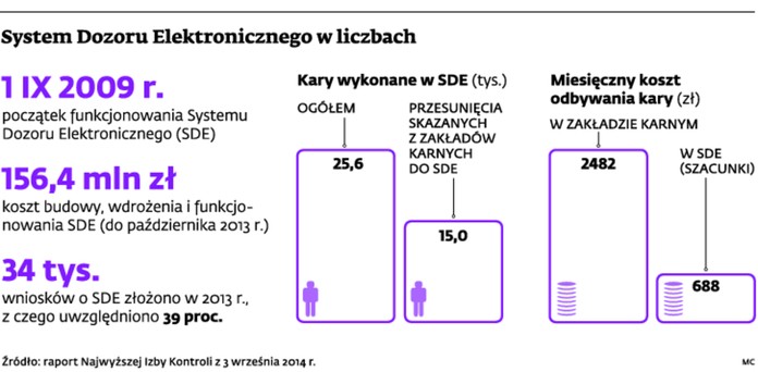 System Dozoru Elektronicznego w liczbach