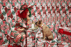 Przygarnij Się pod choinkę. I weź flaszkę. Sia 'Everyday is Christmas' [RECENZJA]