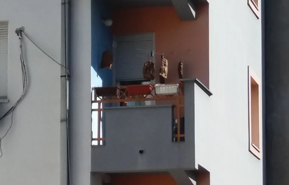 Sunke na terasi u Novom Sadu