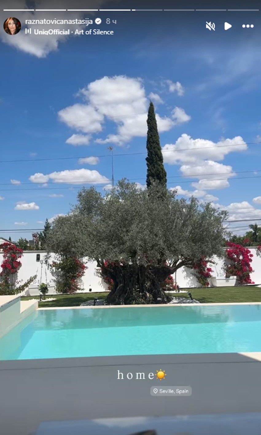 Dvorište Anastasije Ražnatović