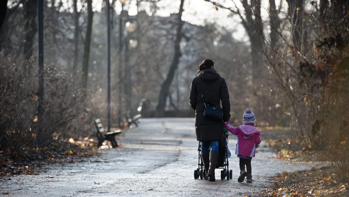 zima słońce park pogoda