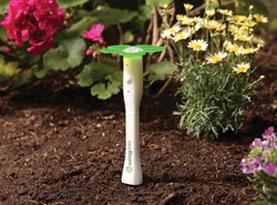 Lubisz hodować roślinki? To coś dla ciebie