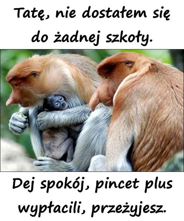 Początek roku szkolnego