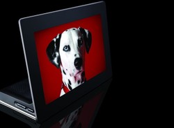 Pierwsza na świecie OLED-owa ramka foto