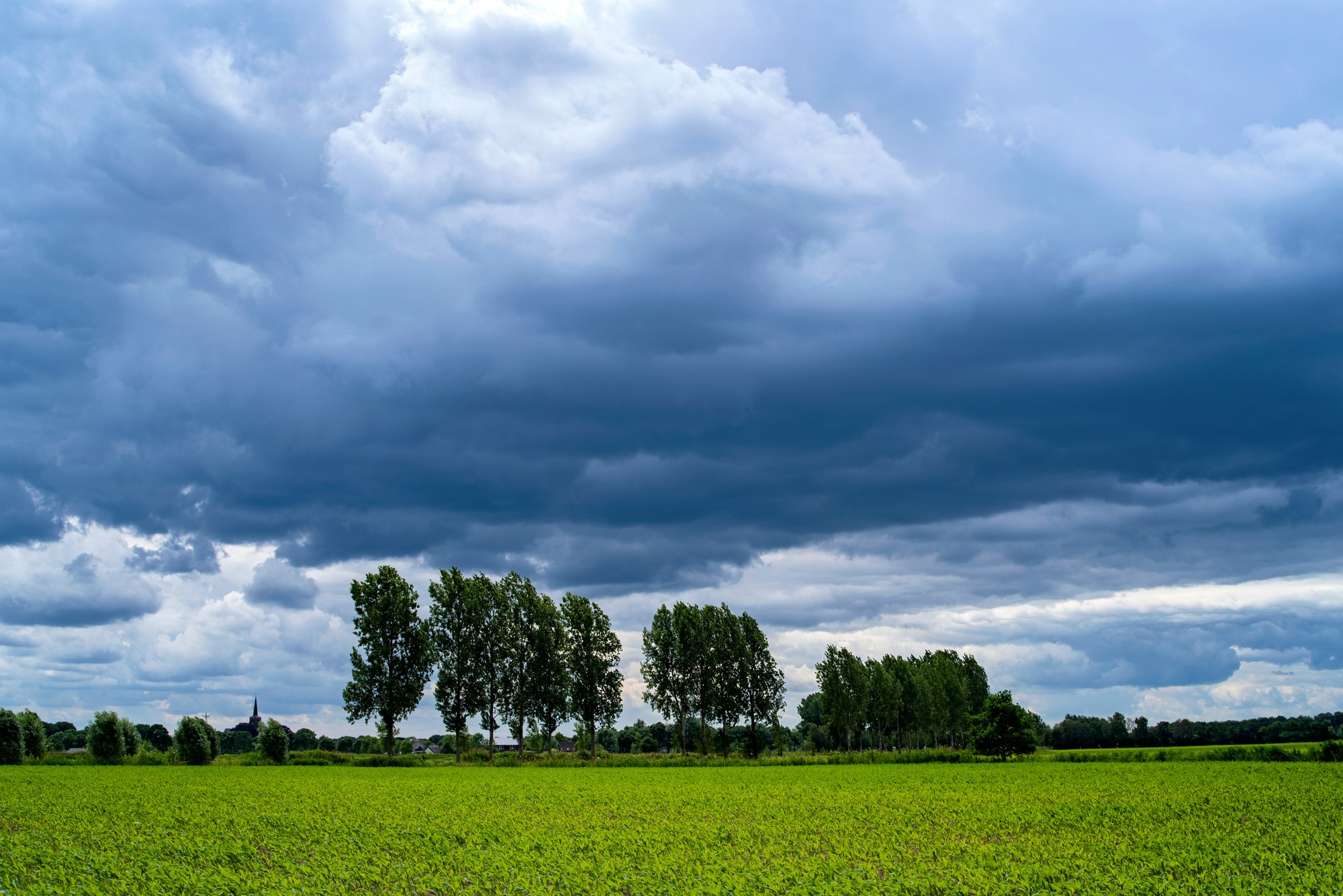 Príroda sa mení veľmi rýchlo a s ňou i prognózy.