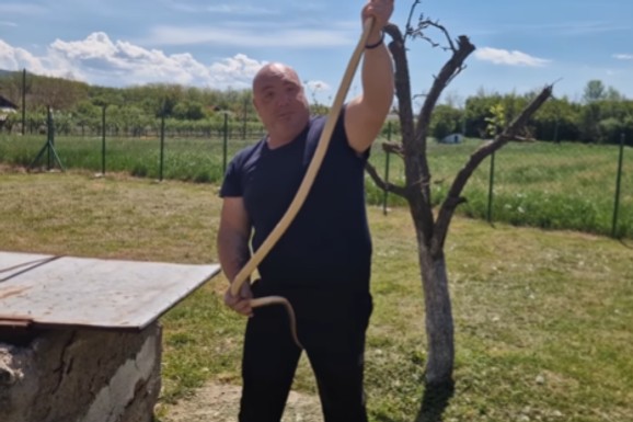 (FOTO, VIDEO) "LELE, BRATE, KOLIKA JE!" Kad je krenuo da je izvlači, nikad kraja! Vladica iz temelja kafane izvukao ZMIJU, a onda su usledile nove akcije i šok za šokom