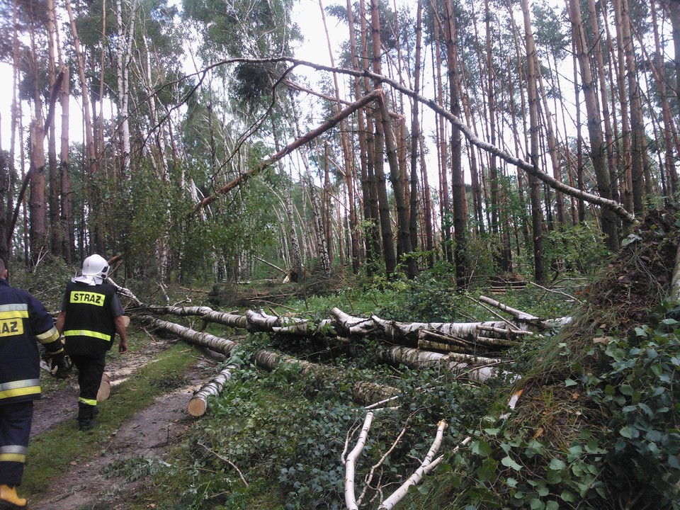 Nienawiszcz i Słomowo k. Obornik po nawałnicy, usuwania szkód, fot. Armel OSP Ocieszyn/Daj znać