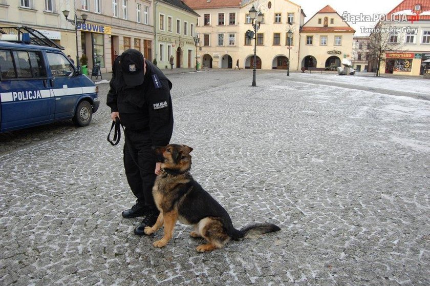 Policja w Tarnowskich Górach ma nowego psa. To owczarek niemiecki Kair