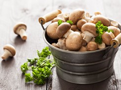 Nie tylko smaczne, ale i zdrowe? Cała prawda o grzybach