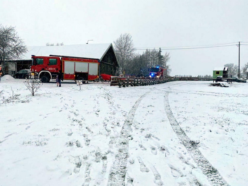 Strażacy uratowali psa tonącego w jeziorze