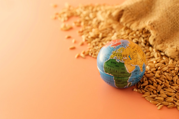 Afryka jest najbardziej narażona na skutki ograniczenia dostaw ukraińskich produktów rolnych