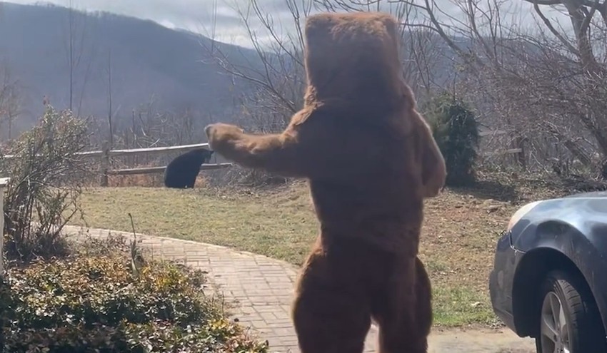 Mladić plaši medveda