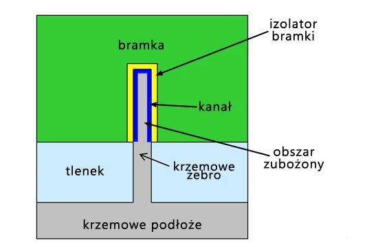 Uwaga: przekrój w innej płaszczyźnie niż na poprzednich schematach! Źródło i dren są niewidoczne: źródło znajduje się między schematem a Czytelnikiem, a dren – za płaszczyzną schematu