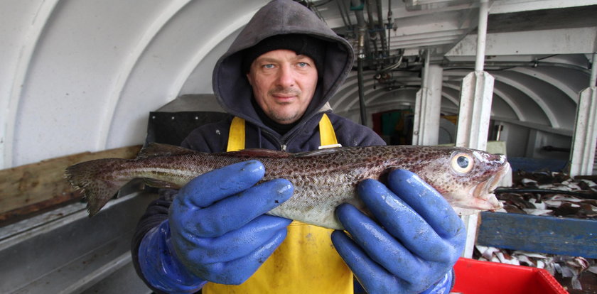 Niepokojące zjawisko w Bałtyku. Rybacy łapią się za głowy