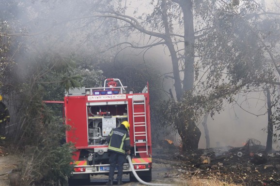 "MALO JE FALILO DA VATRA STIGNE DO KUĆA" Drama u Sremčici, meštani sa vatrogascima gase veliki požar: "Večeras nema spavanja" (VIDEO)