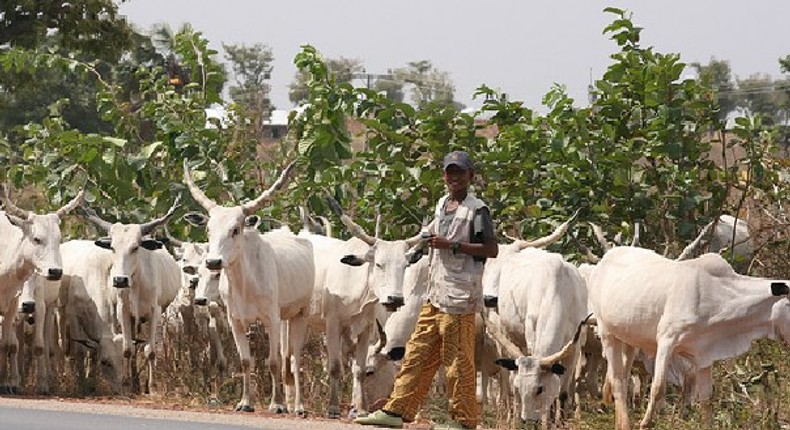 Provisions of the proposed bill to establish a ranching commission in Nigeria