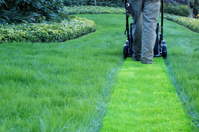 lawn maintenance company