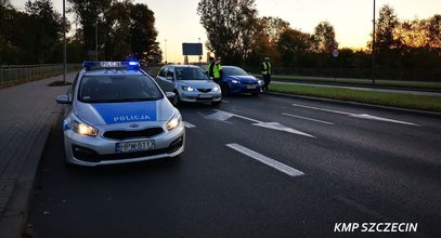 Grzybobranie zakończone na komisariacie. Zaskakujący finał kontroli policyjnej