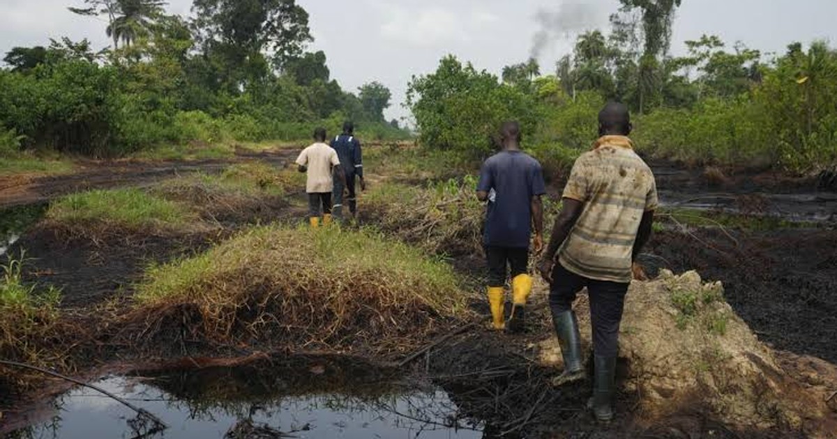 Nigeria launches $500 million agriculture fund to transform oil-rich Niger Delta
