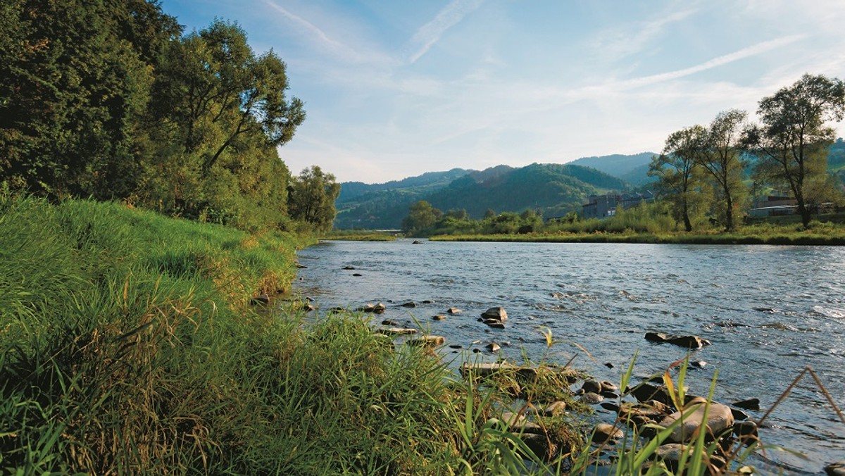 Widok na rzekę Poprad w Beskidzie Sądeckim