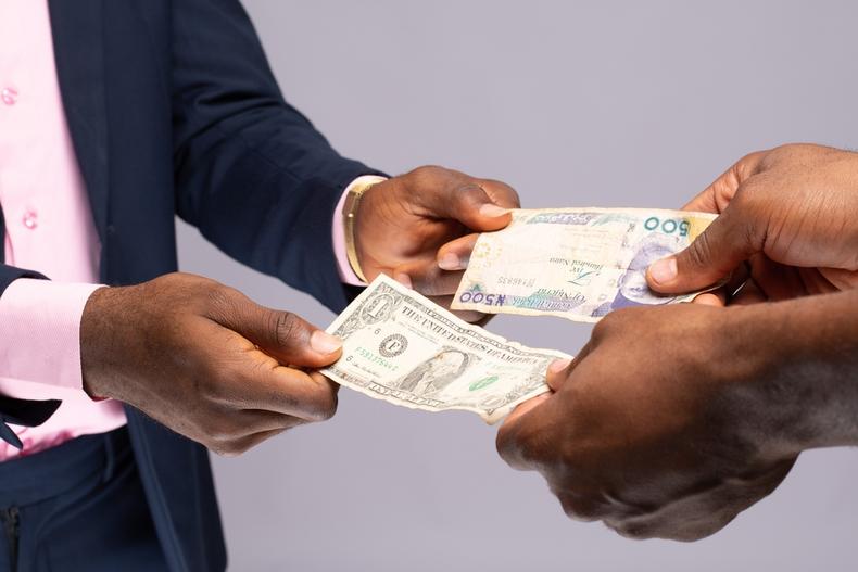 Naira is devalued (Shutterstock)