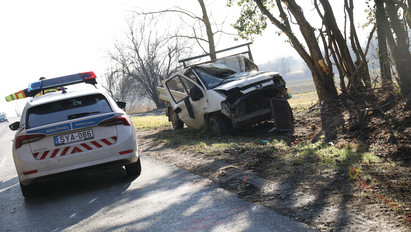 Kisteherautójával fának csapódott és meghalt egy férfi Zalában – Fotók a helyszínről