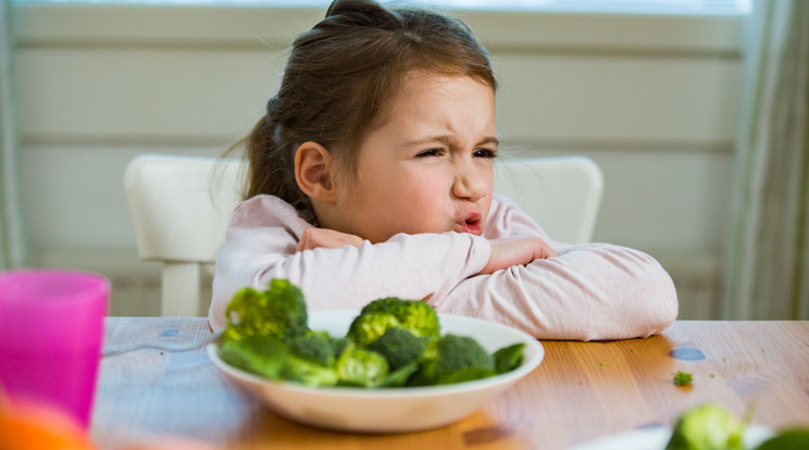 A gyerekek általában nem szeretik a brokkolit és a többi keresztesvirágú zöldséget/Fotó: Shutterstock