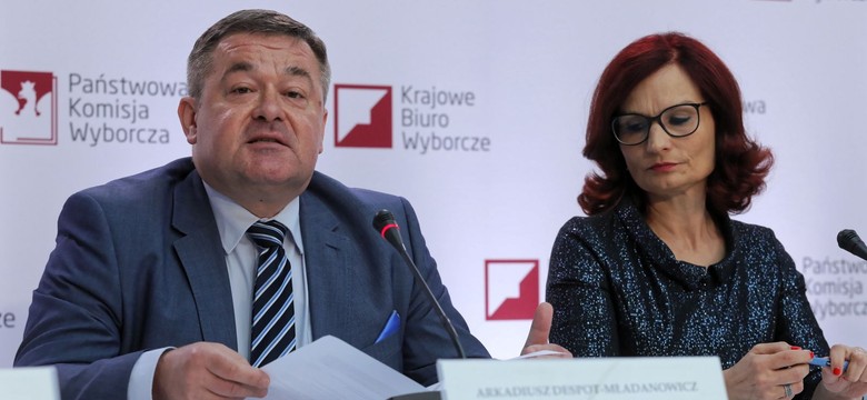 Rekordowa frekwencja w wyborach do PE. Oficjalne pełne wyniki