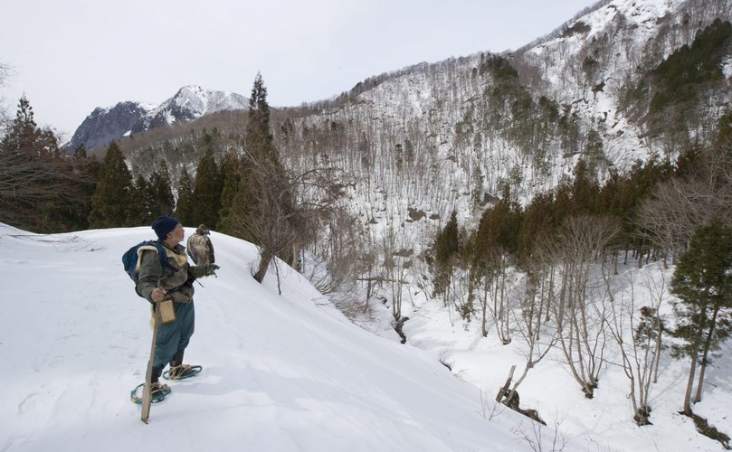 Hidetoshi Matsubara. Ostatni sokolnik w Japonii