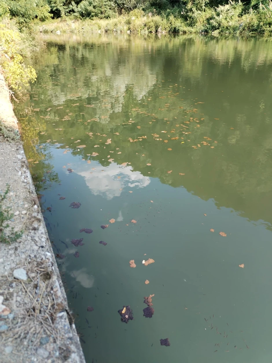 A ovde se mladi kupaju leti