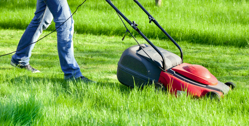 Czy można dostać mandat za koszenie trawy w niedzielę? Oto co mówią przepisy