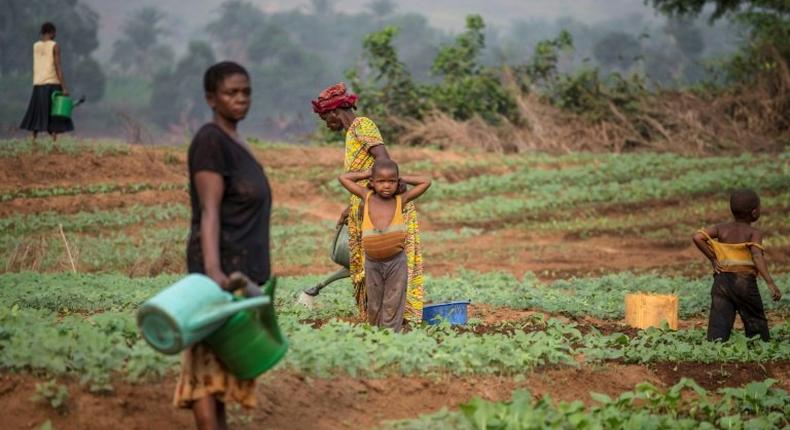 Months of conflict in the Kasai region of the Democratic Republic of Congo have left many villagers unable to plant their crops