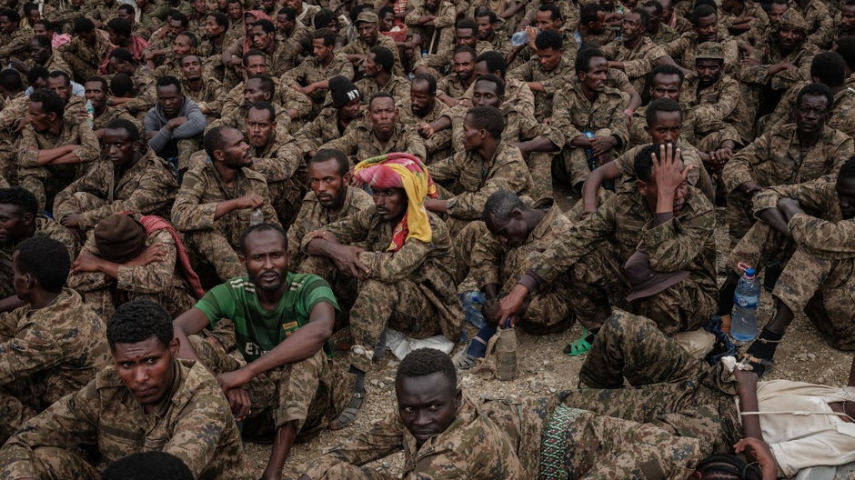 Wojna w Tigraj, etiopscy żołnierze