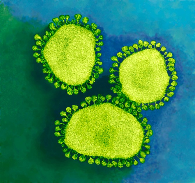 Korona virus pod mikroskopom