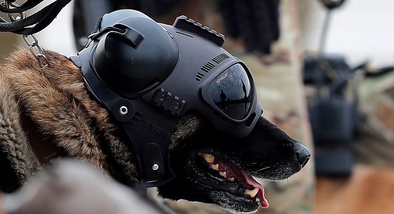 What is Warhound, Palmer Luckey's war dog startup that just emerged ...