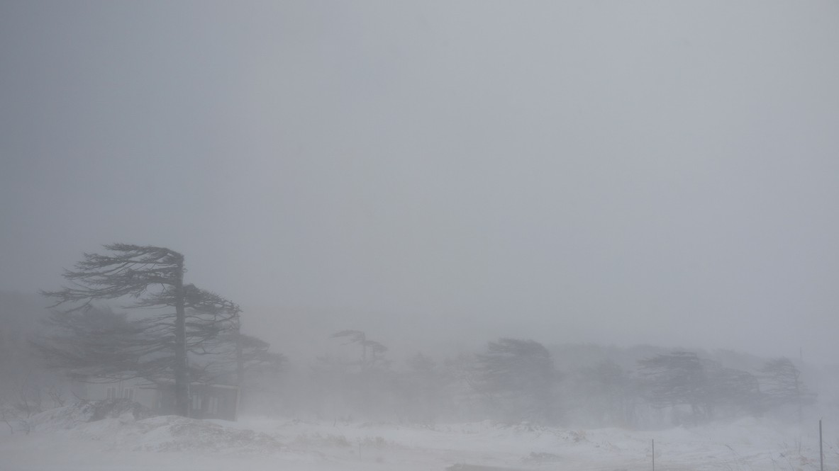 Extrémny chlad odhaľuje skutočnú hodnotu efektívneho tepla.