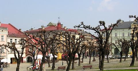 Galeria Polska - Przemyśl, obrazek 4