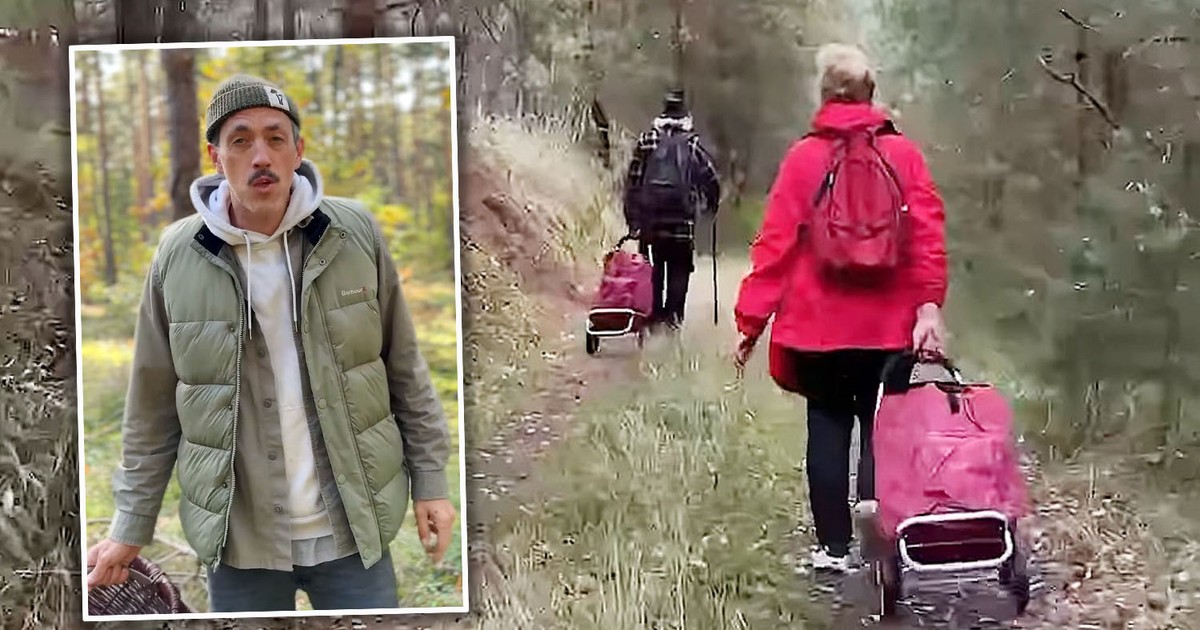 Niemiec poszedł do lasu i nagrał grzybiarzy. "Obrazili mnie i uciekli"