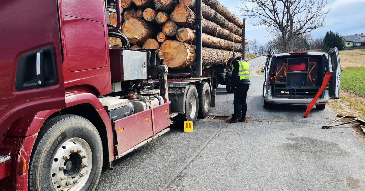  Inspektorzy ITD mieli nosa. Ciężarówkę zatrzymały bele drewna  