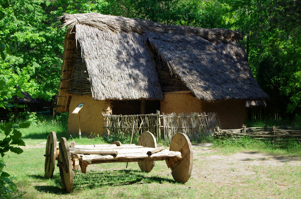 Rezerwat archeologiczny Krzemionki. Źródło: Wikipedia, autor zdjęcia: Jakub Hałun