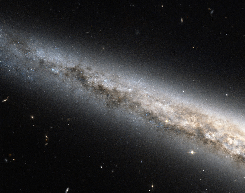 C38 - NGC 4565