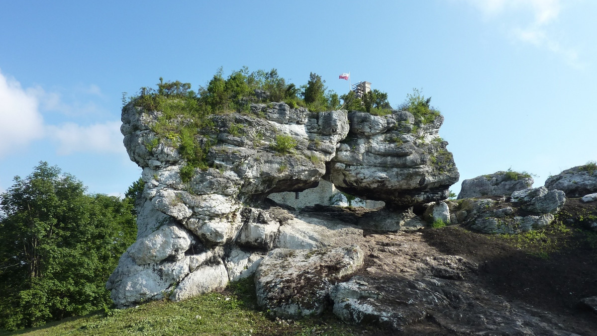 Jura Krakowsko - Częstochowska wzbogaciła się niedawno o kolejną atrakcję turystyczną. W trakcie porządkowania terenu wokół odbudowanego Zamku Bobolice udało się odsłonić przepiękny ostaniec skalny - wyrzeźbioną przez wiatr i wodę skalną bramę, nazwaną na cześć współczesnych właścicieli zamku Bramą Laseckich.