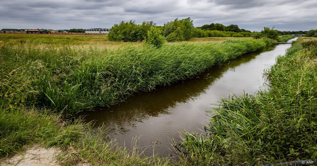Bijna iedereen heeft te veel PFAS in het bloed: artsen roepen op tot verbod