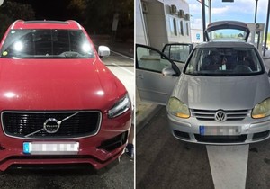 Zaplenjeni automobili 