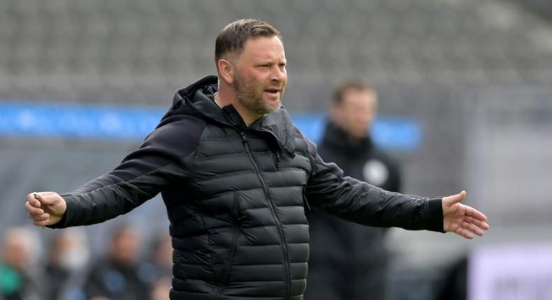 In isolation: coach Pal Dardai is one of four Hertha Berlin staff to have tested positive