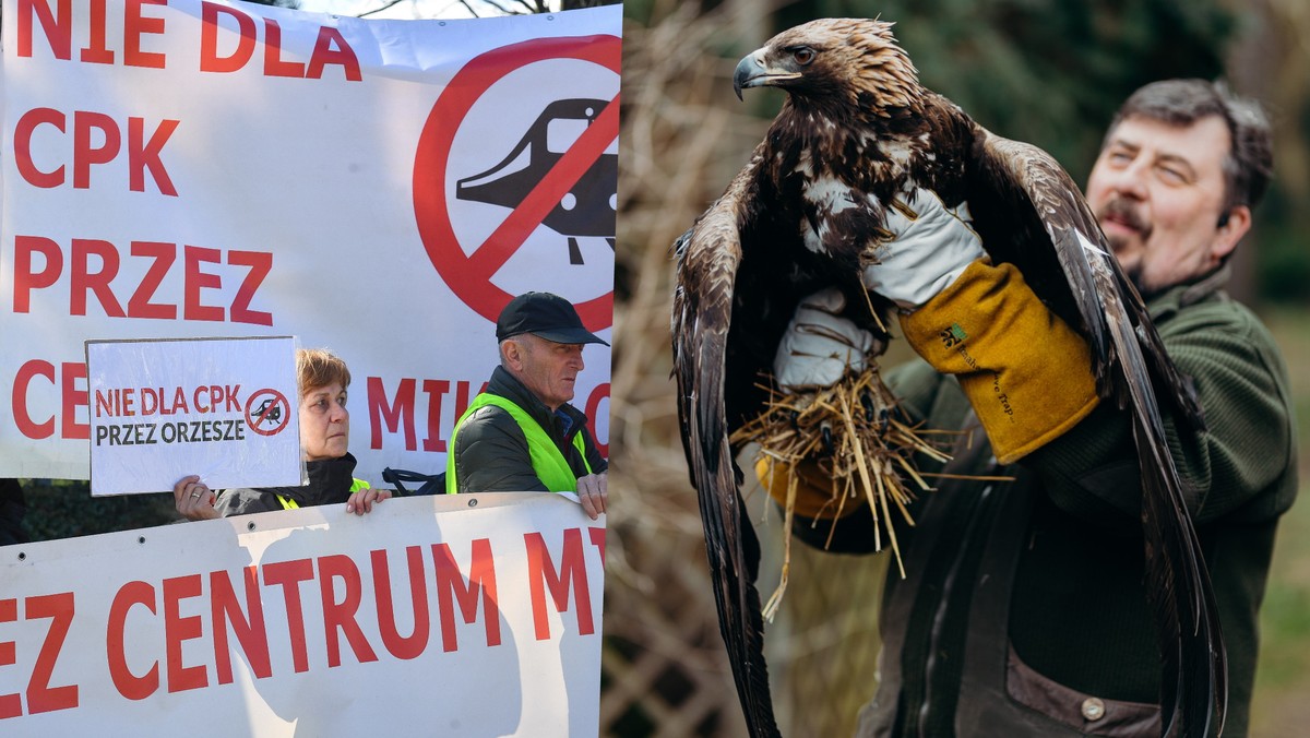 Ratują zwierzęta od 30 lat. Budowa kolei do CPK zniszczy im życie