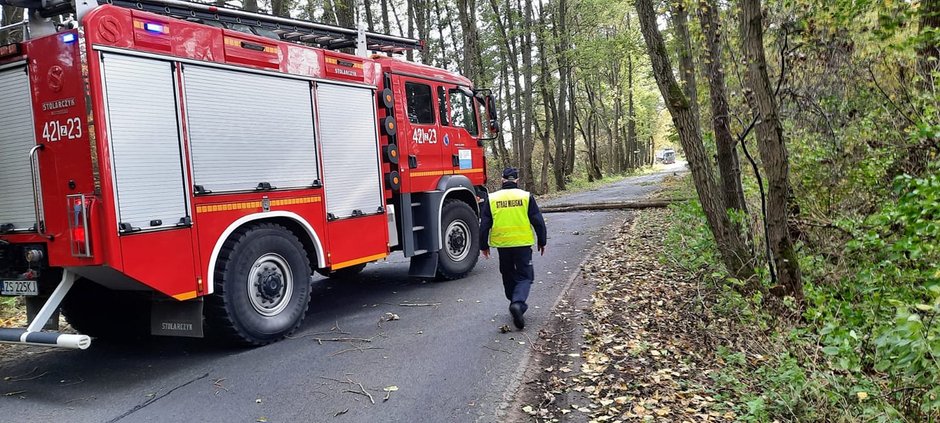 Zerwane linie energetyczne, uszkodzone pojazdy i powolne drzewa. Nad regionem przechodzi wichura